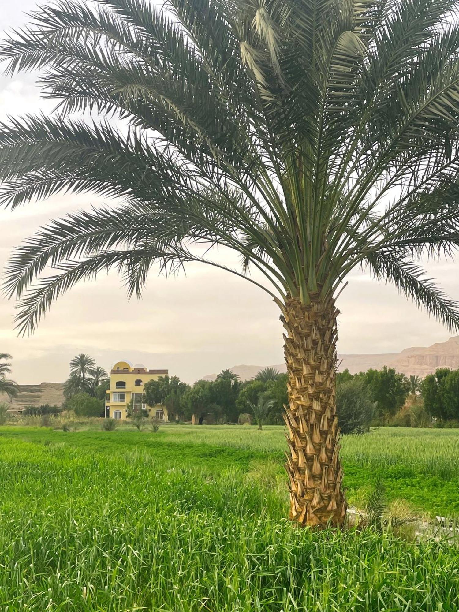 Karima House Hotel Luxor Bagian luar foto